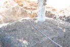 Acacia Parktree-transplanting-4.jpg; ?>